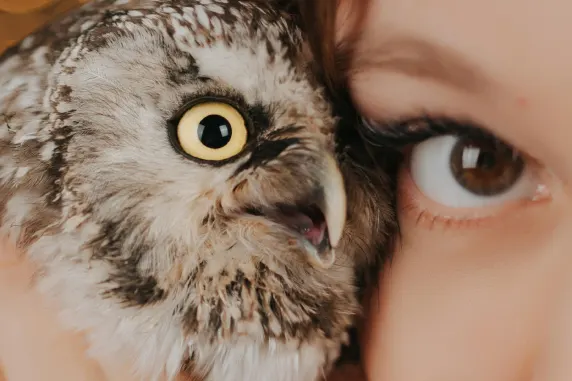 Casino Palace of Chance Ënnerstëtzung